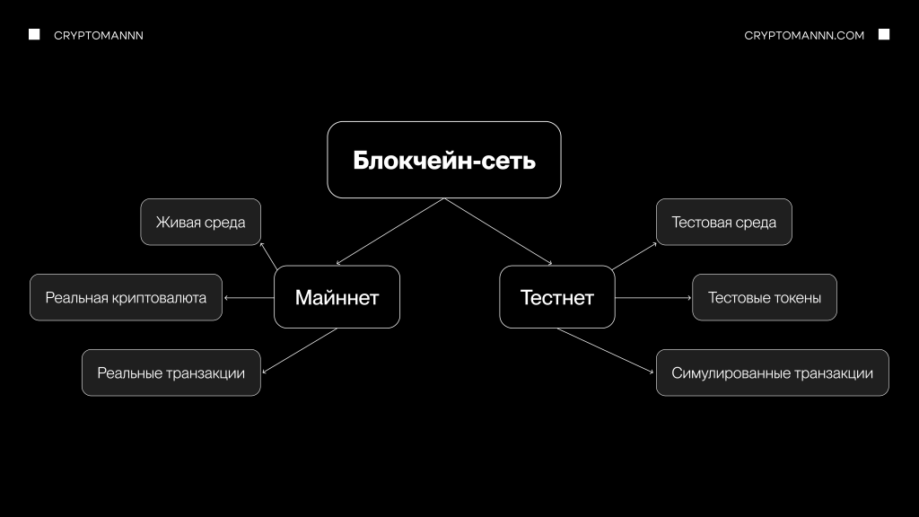 схема відмінностей тестової та основної мережі блокчейна.