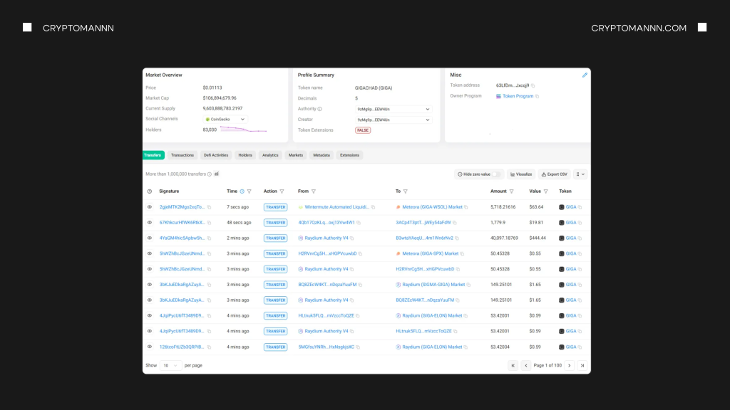 Как выглядит интерфейс токена на Solscan - Cryptomannn