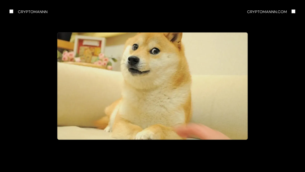 Как выглядит оригинальный мем с собакой Dogecoin - Cryptomannn