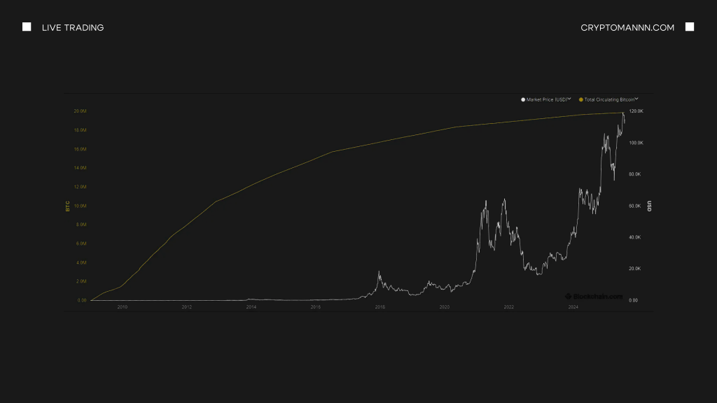 Скільки BTC зараз знаходиться в обігу - Cryptomannn